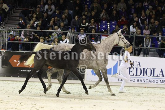 CA D ORO_MILANO_2010_SS3_3909.jpg